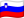 Slovenian language