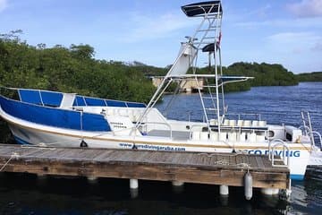 Aruba 2-Tank guided Dive for certified divers with own equipment in destination