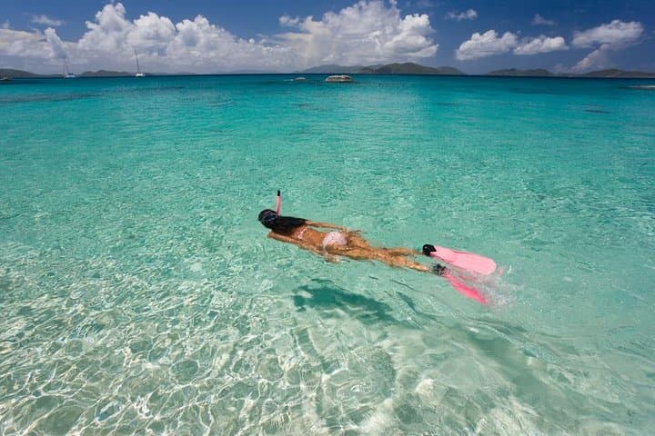 Palm Pleasure Morning Snorkel Adventure photo highlight 8