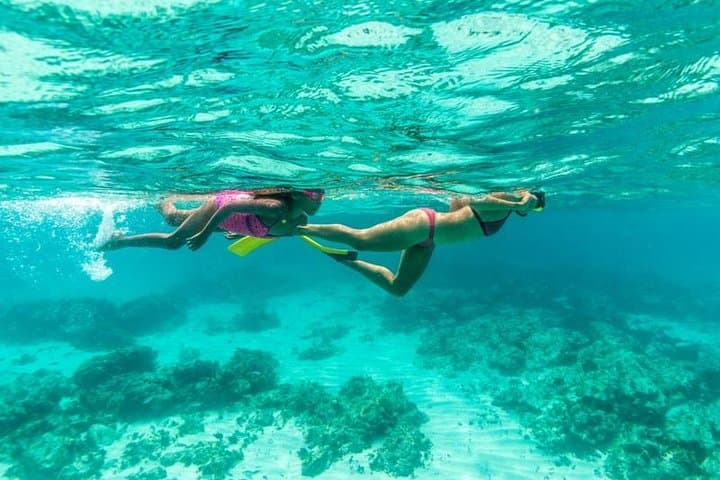 Aruba Lunch & Snorkel Sail photo highlight 11