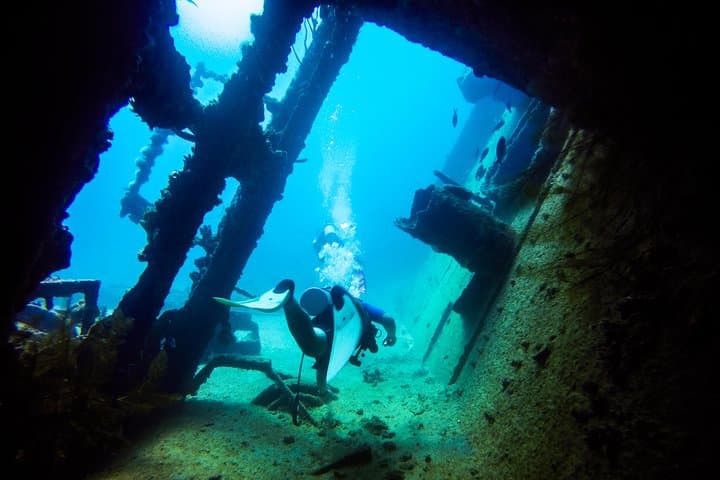 Red Sail Aruba Night Diving Aruba photo highlight 1