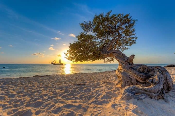 Jolly Pirate Sunset Sail Aruba photo highlight 1