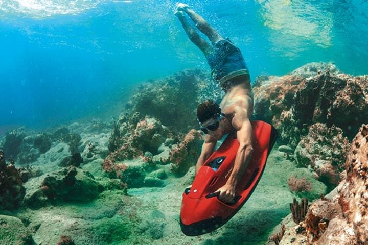 North Coast Seabob Reef Tour photo highlight 1