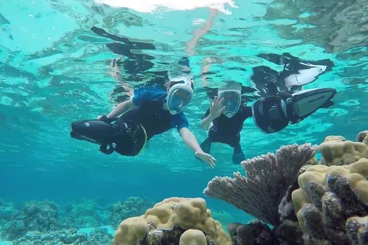 Aruba Afternoon Sailing and Snorkeling Trip With Lunch photo highlight 4