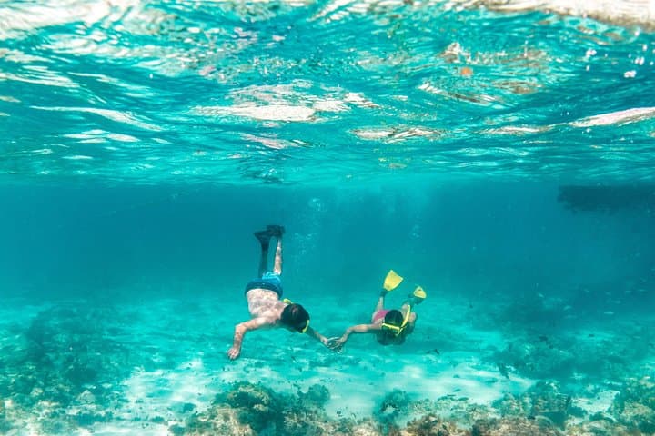 Antilla & Catalina Snorkel Sail photo highlight 24