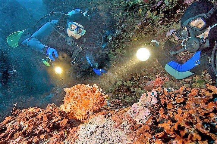 1-Tank guided Night Dive for certified divers with own equipment photo highlight 1
