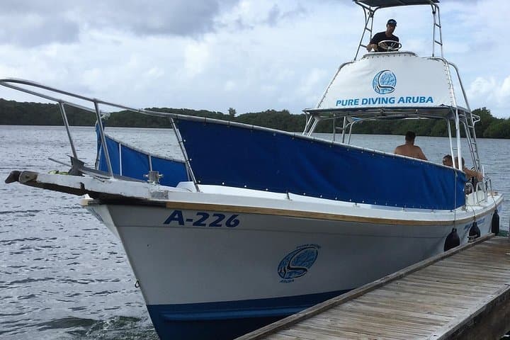 Aruba 2-Tank guided Dive for certified divers with rental equipment photo highlight 1