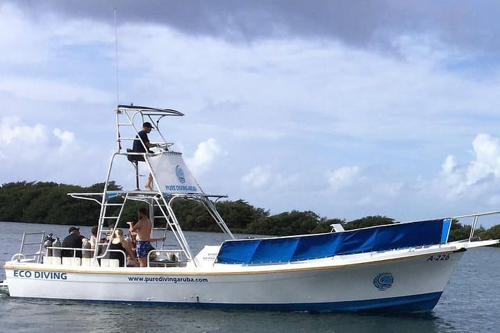 Aruba 1-Tank guided Dive for certified divers with rental equipment photo highlight 1