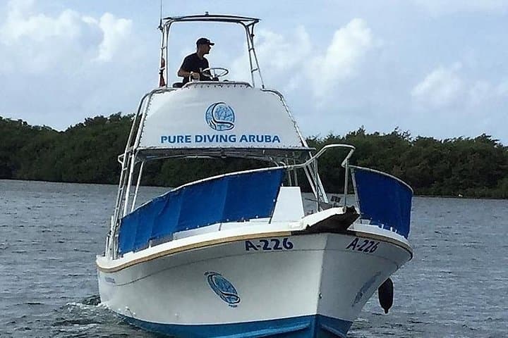 Aruba 1-Tank guided Dive for certified divers with own equipment photo highlight 1