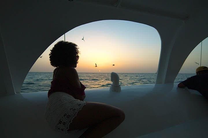 Catamaran Sunset Adventure Cruise Aboard The Dolphin photo highlight 8