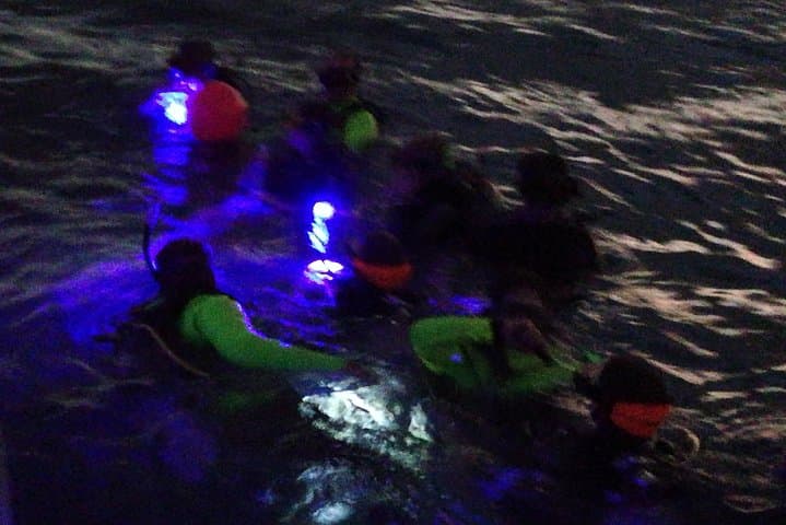 Aruba 1-Tank guided UV Night Dive for certified divers with rental equipment photo highlight 4