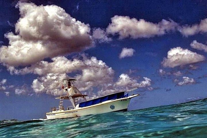 1-Tank guided Night Dive for certified divers with own equipment photo highlight 4
