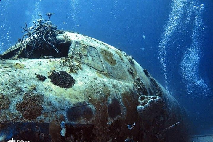 1-Tank guided Night Dive for certified divers with own equipment photo highlight 7