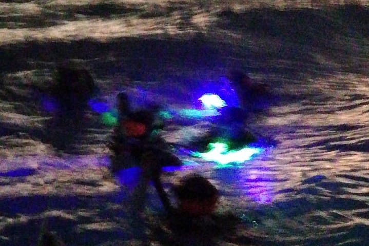 Aruba 1-Tank guided UV Night Dive for certified divers with own equipment photo highlight 4