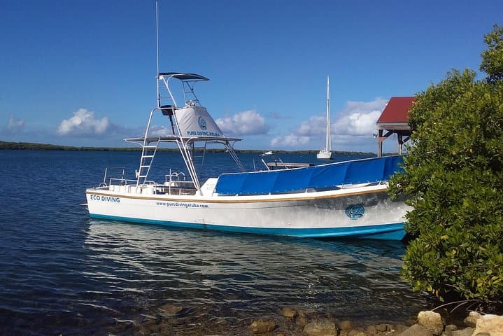 Aruba 1-Tank guided UV Night Dive for certified divers with own equipment photo highlight 5