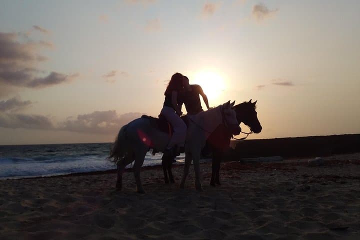North Countryside National Park & Beach Horseback Ride photo highlight 16