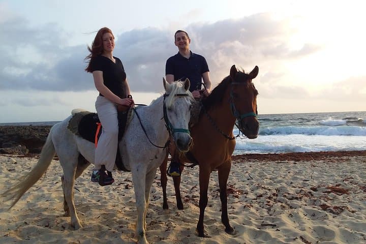 North Countryside National Park & Beach Horseback Ride photo highlight 12