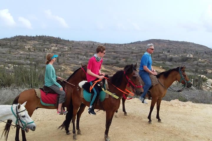North Countryside National Park & Beach Horseback Ride photo highlight 18