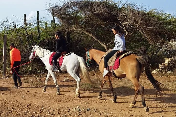 North Countryside National Park & Beach Horseback Ride photo highlight 23