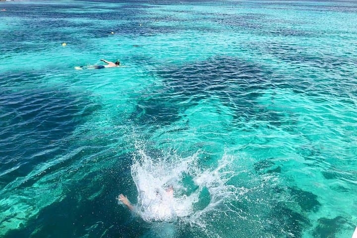 Aruba Afternoon Sailing and Snorkeling Trip With Lunch photo highlight 24