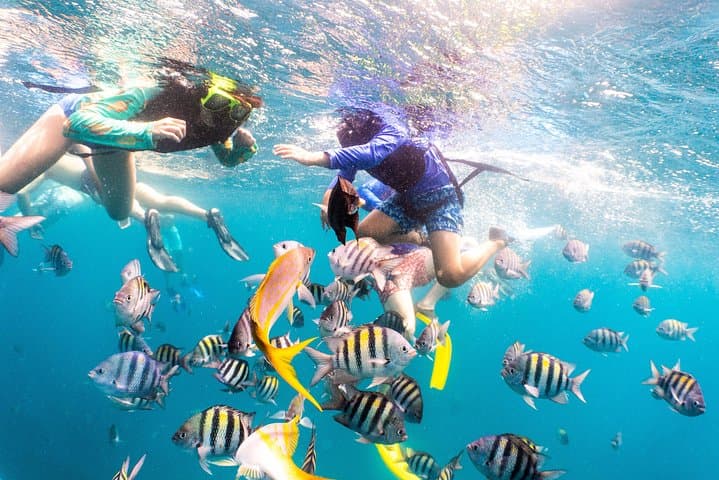 Aruba Lunch & Snorkel Sail photo highlight 3