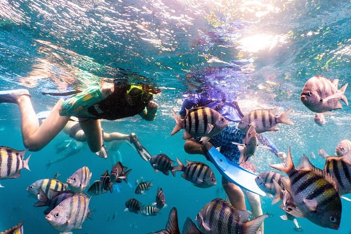 Antilla & Catalina Snorkel Sail photo highlight 2