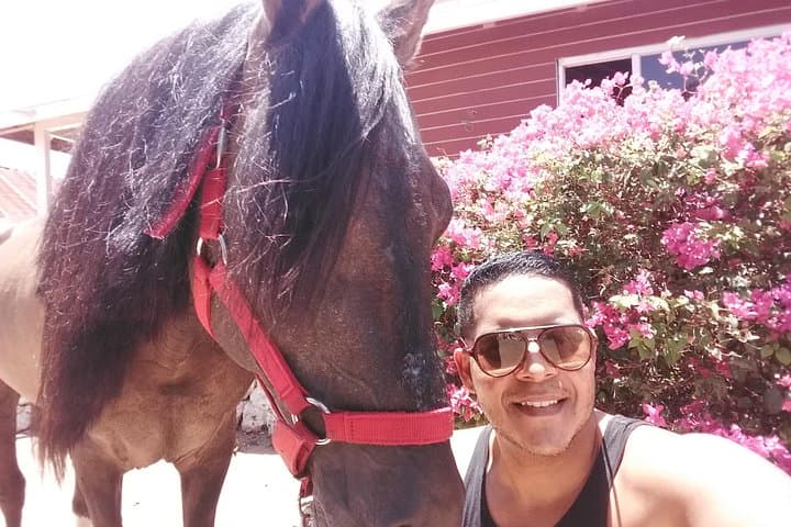 North Countryside National Park & Beach Horseback Ride photo highlight 26
