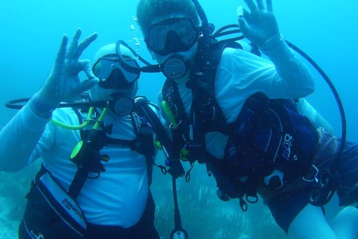 Aruba 1-Tank guided Dive for certified divers with own equipment photo highlight 3