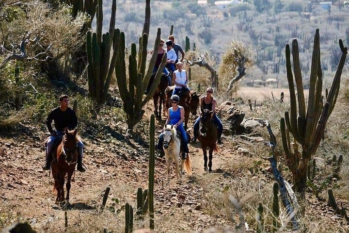 Natural Pool Horseback Riding Tour in Aruba photo highlight 7