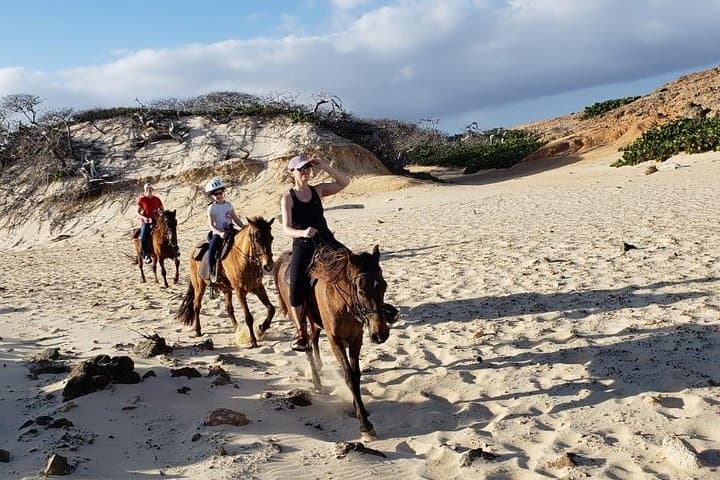 Natural Pool Horseback Riding Tour in Aruba gallery photo 4
