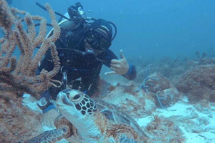 Aruba Certified Scuba Diving photo highlight 2