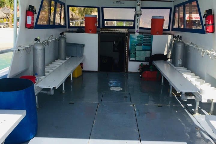 Aruba Certified Scuba Diving photo highlight 5