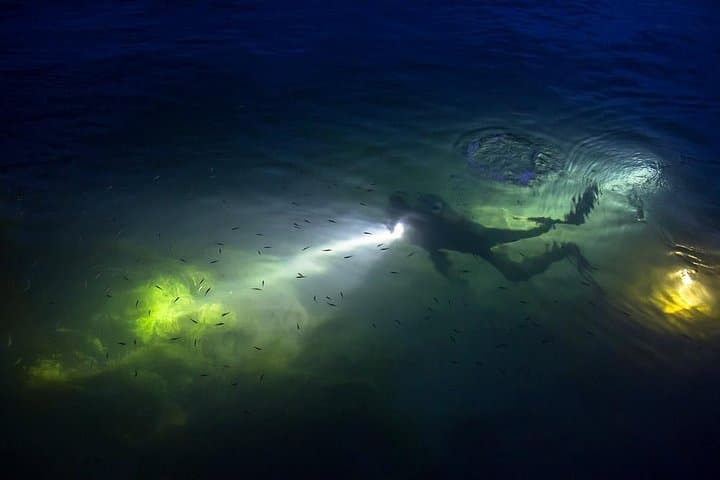 Night Shore Diving Mangel Halto Aruba for Certified Divers photo highlight 5