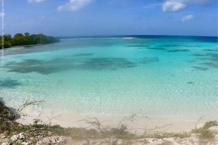 Discover Snorkeling Mangel Halto Aruba in Aruba