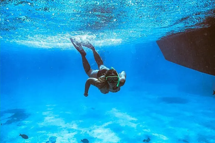 Adults Only Catalina Bay Small-Group Afternoon Snorkel Sunet Sail with Snacks photo highlight 2