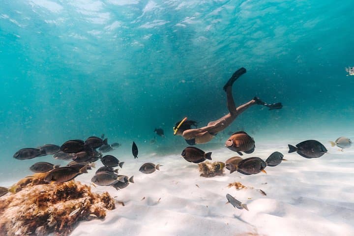 Aruba Sailing & Snorkeling Experience photo highlight 8
