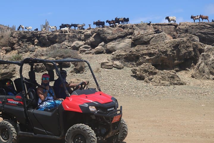 Aventura en quad y en vehículo todoterreno a Secret Beach y Cave Pool en Aruba photo highlight 9