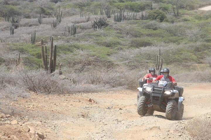 Aventura en quad y en vehículo todoterreno a Secret Beach y Cave Pool en Aruba photo highlight 11