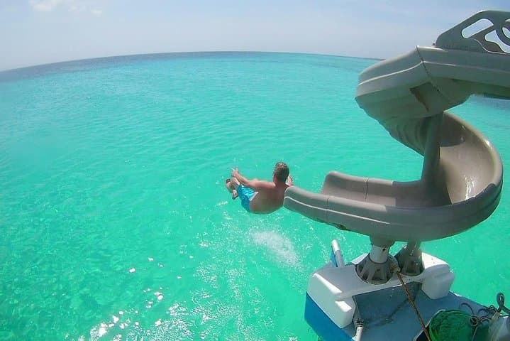 Catamaran Dolphin Snorkeling Cruise: Open bar, Light Lunch & I Love Aruba Shirt gallery photo 5
