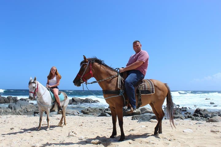 North Countryside National Park & Beach Horseback Ride photo highlight 11