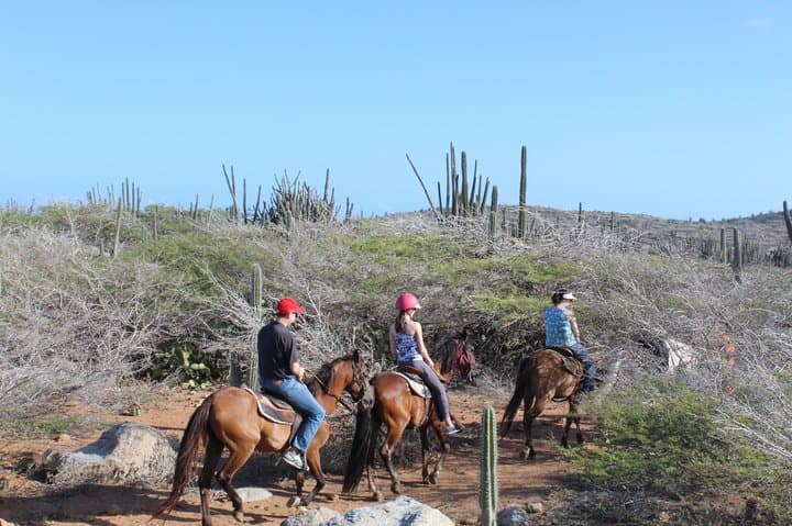 North Countryside National Park & Beach Horseback Ride photo highlight 25