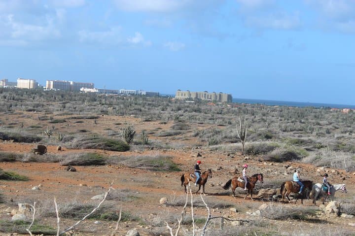 North Countryside National Park & Beach Horseback Ride photo highlight 28
