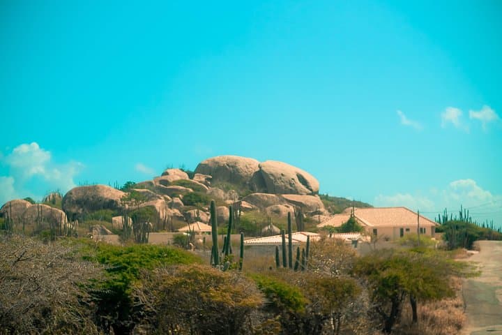 Tour mattutino UTV dei tesori nascosti di Aruba photo highlight 7