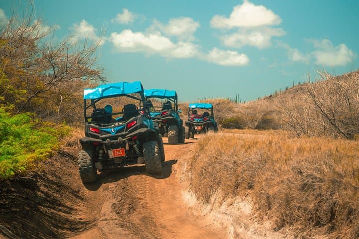 Tour mattutino UTV dei tesori nascosti di Aruba photo highlight 10