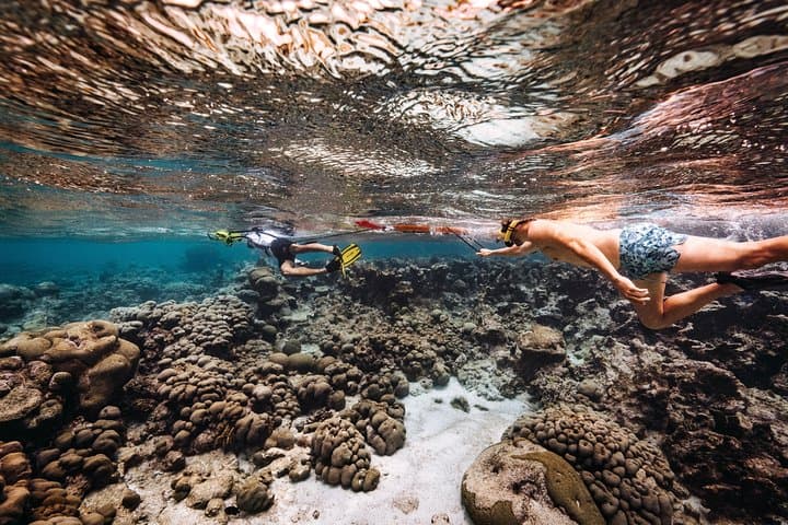 Luxury Lagoon Cruise in Aruba photo highlight 7