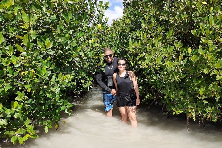 Mangrove Forest Tour - Glass Bottom Kayak photo highlight 3