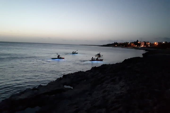 Night Glass Kayak Tour photo highlight 5