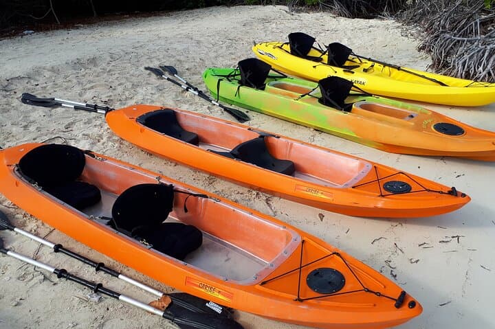 Mangrove Forest Tour - Glass Bottom Kayak photo highlight 5