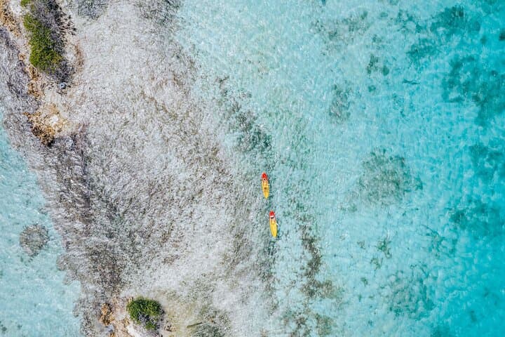 Luxury Lagoon Cruise in Aruba photo highlight 10