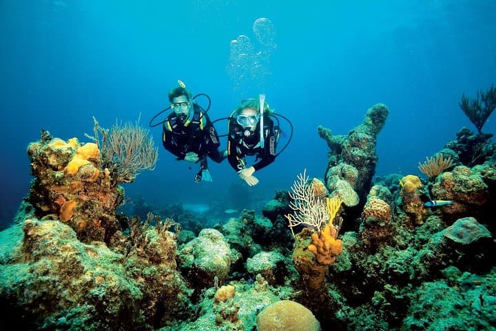Introductory Diving in Aruba photo highlight 2